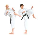 Amerikick Karate Kickboxing image 2
